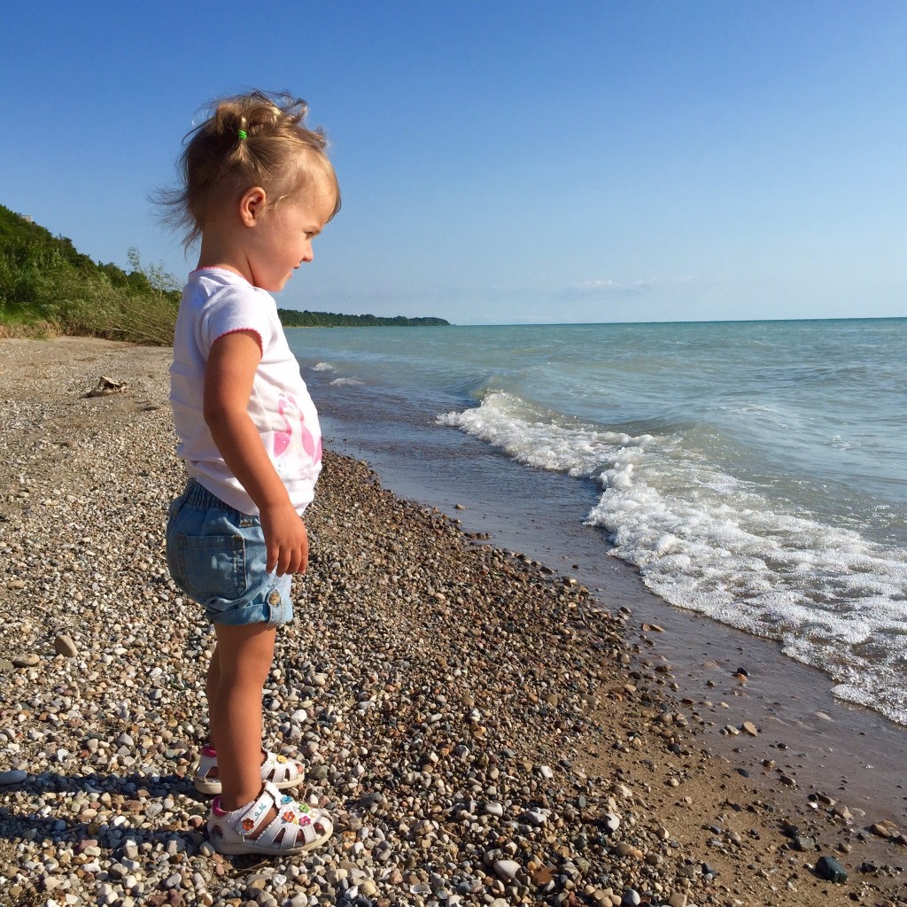 Sienna at Cottage
