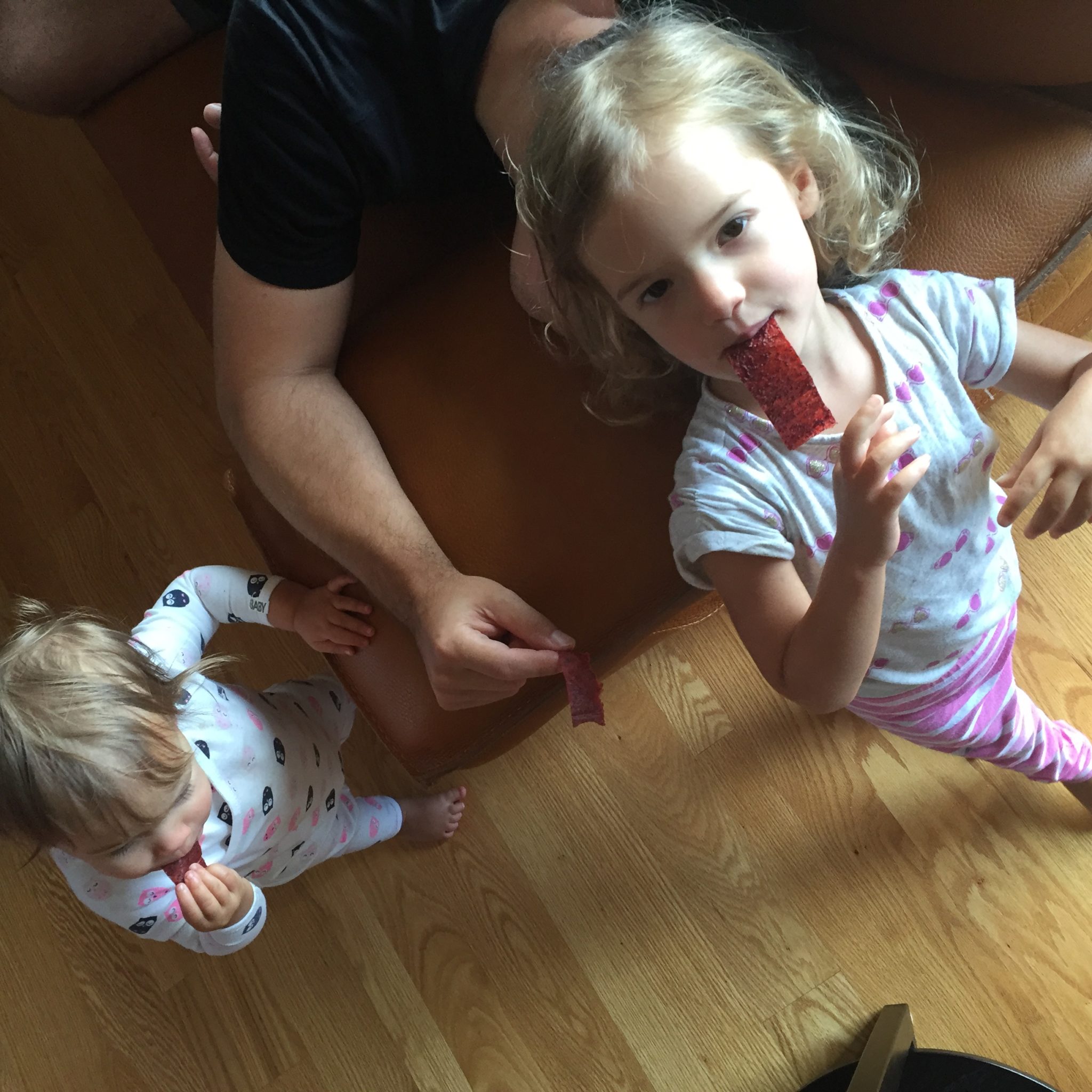 strawberry chia fruit roll-ups