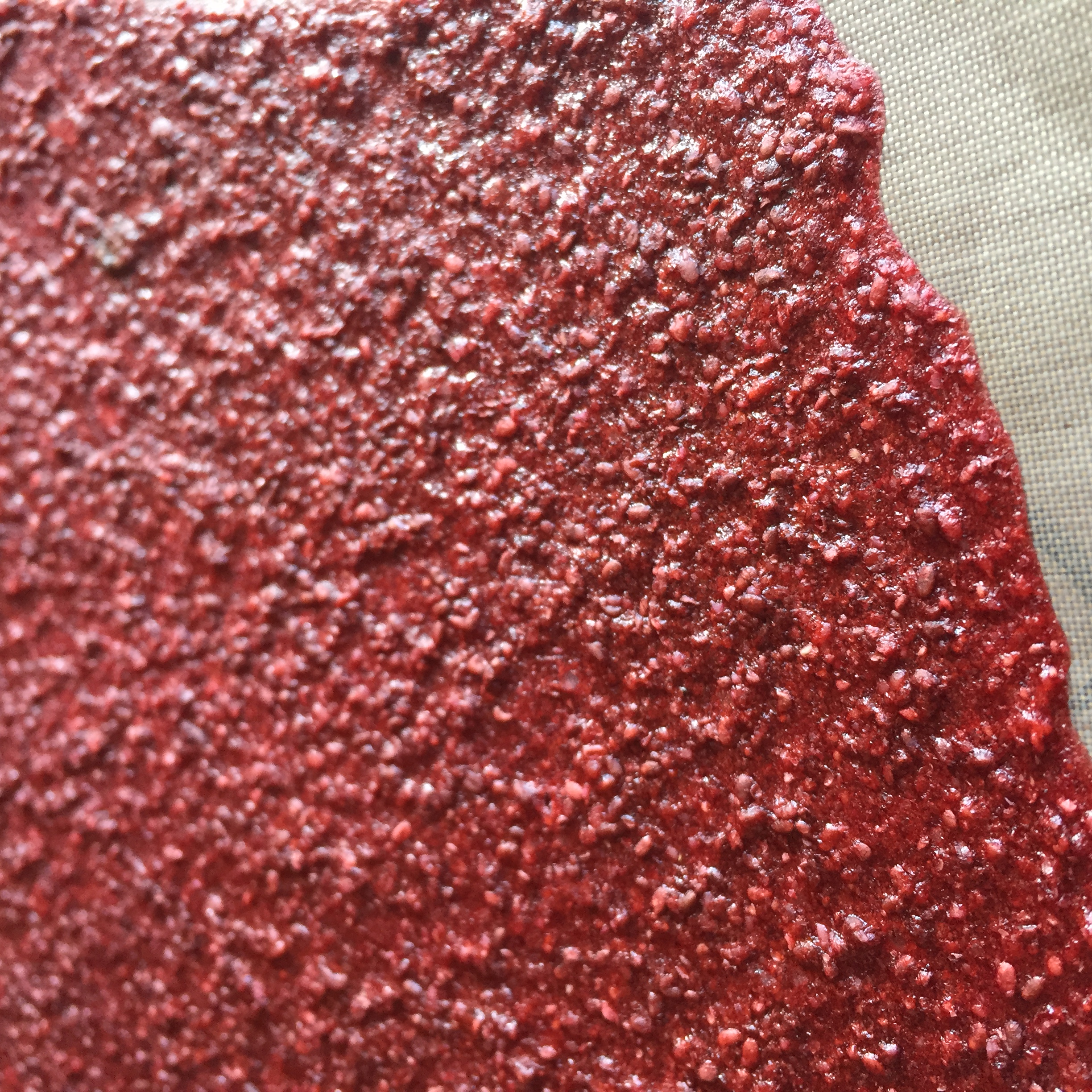 dehydrated fruit leather