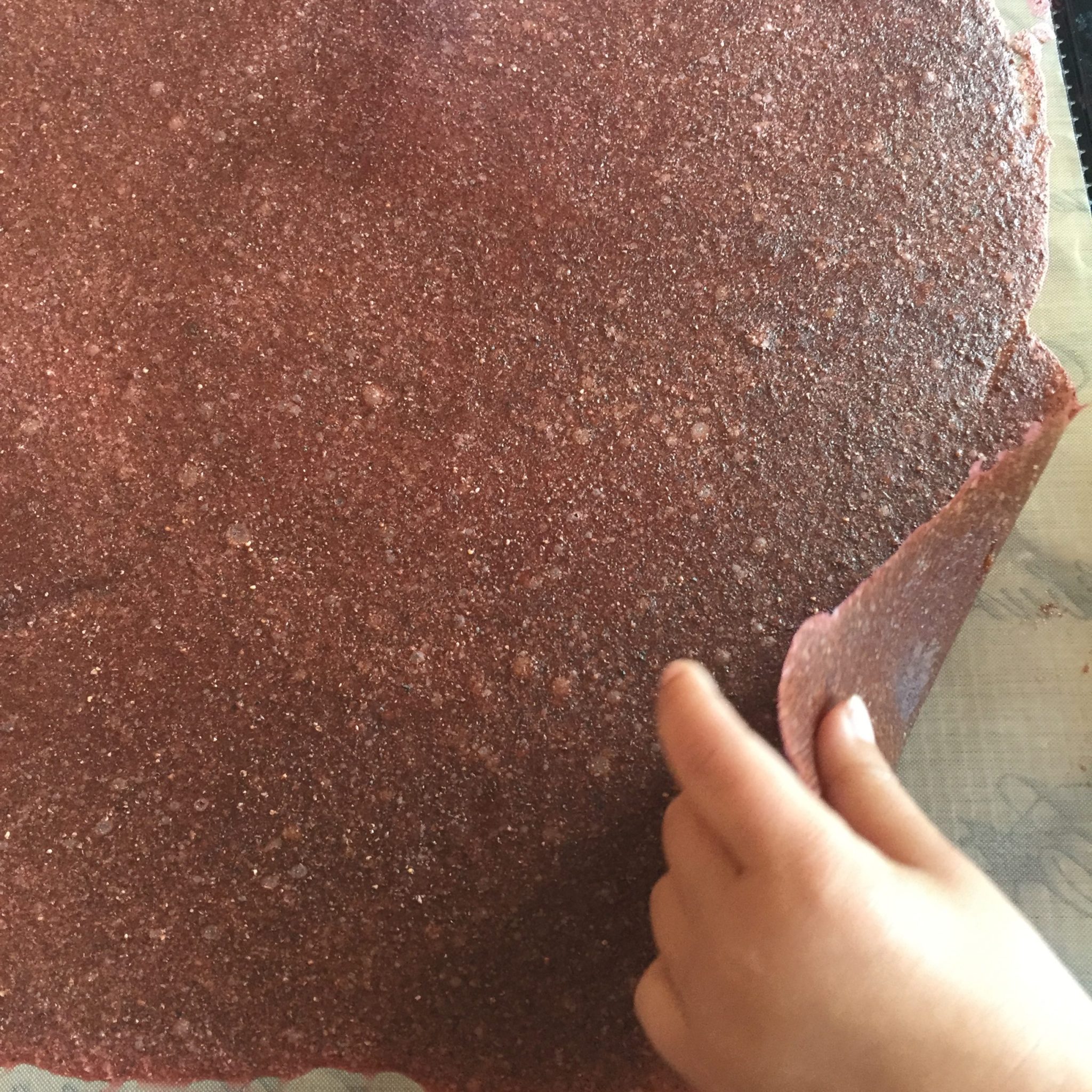 strawberry chia fruit roll-ups