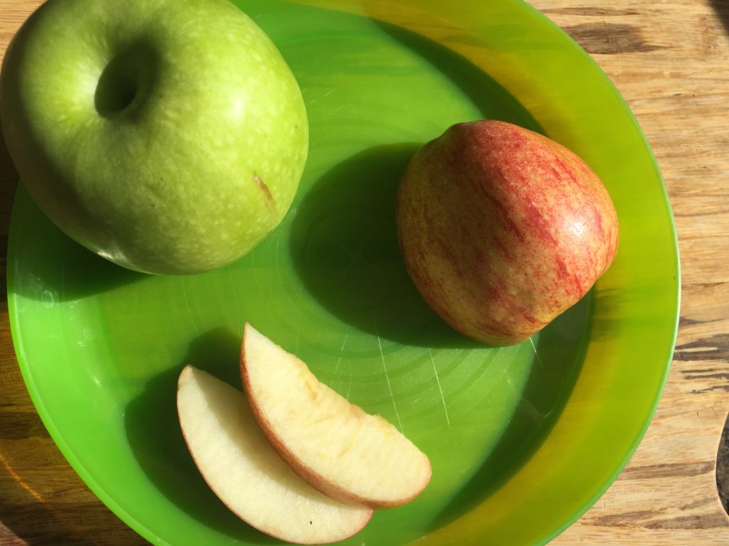 picky eating solution 