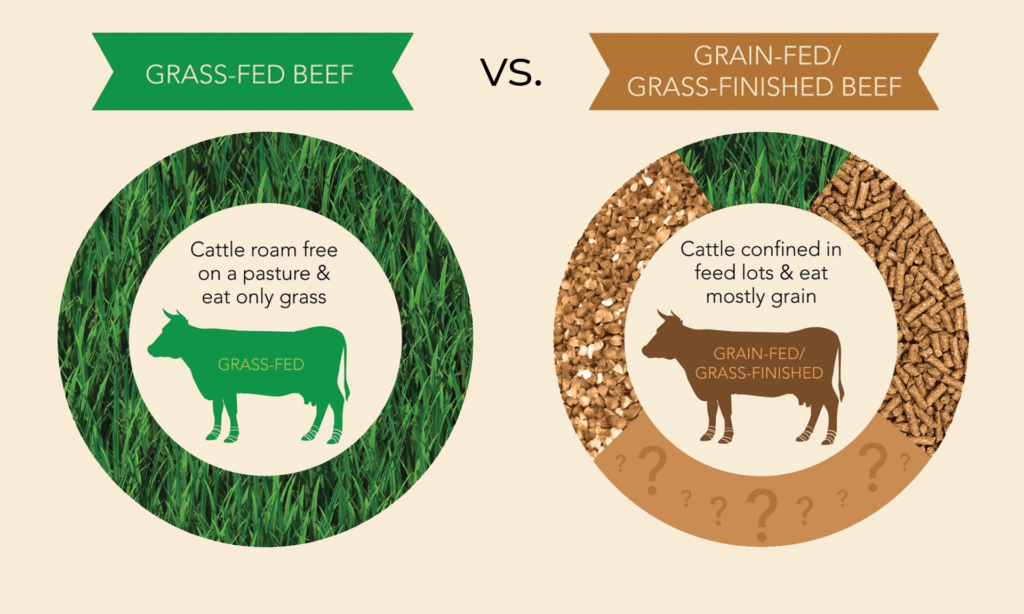 grass fed or grain fed