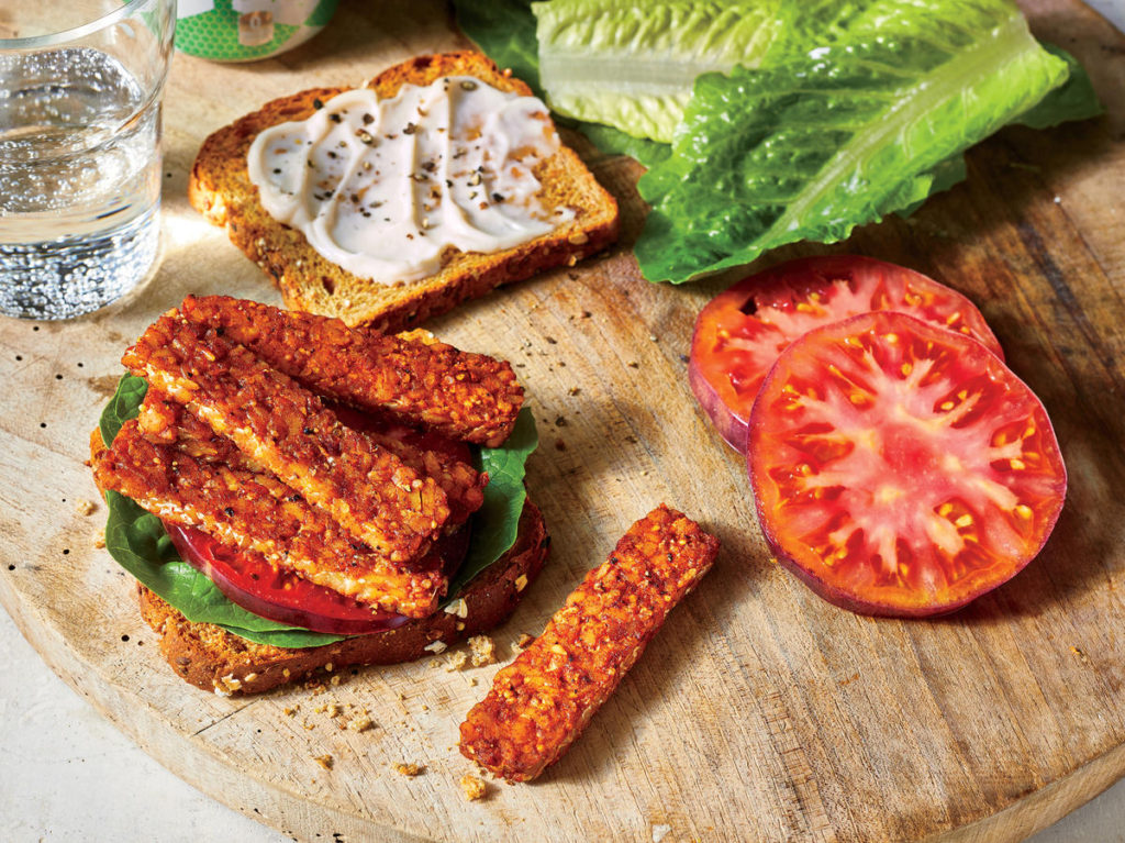protein kids tempeh