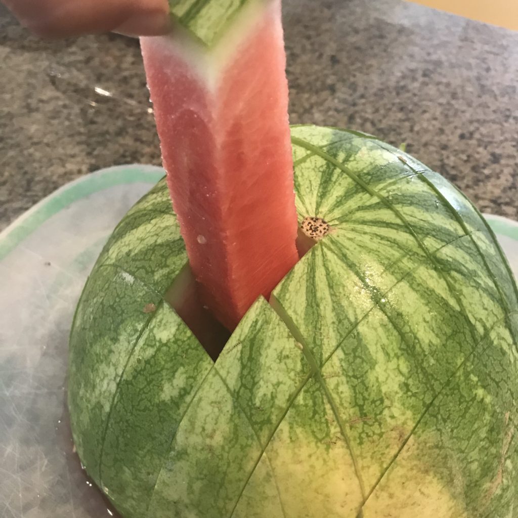 fun ideas watermelon