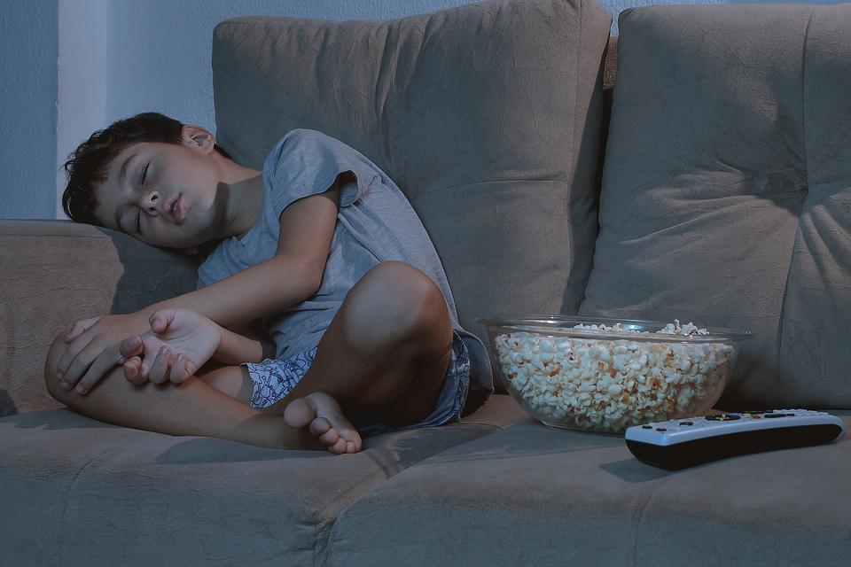 best time to feed picky eaters