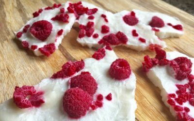 Coconut Yogurt Bark (dairy-free)