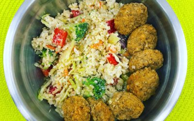 Meal Delivery Review #3:  Green Zebra Kitchen